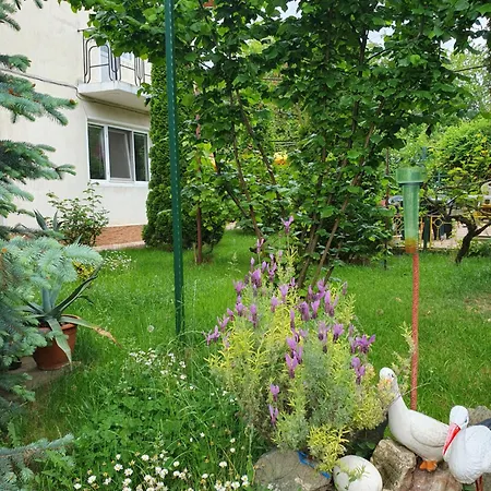 Negru Guest house