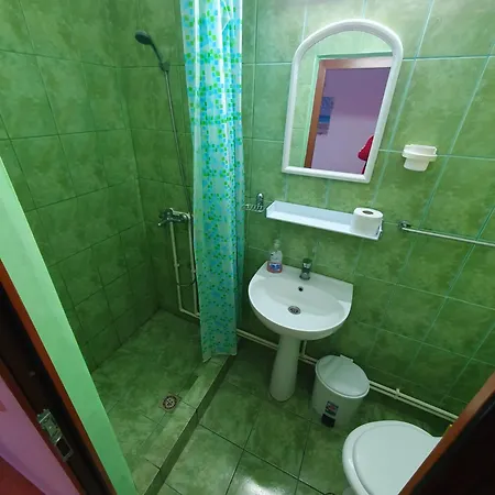 Negru Guest house
