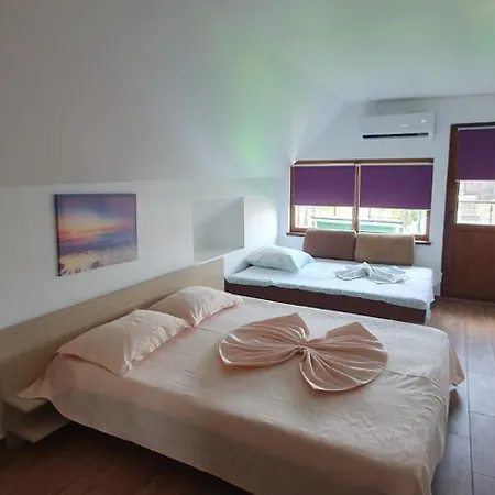 Гостевой дом Negru Костинешти