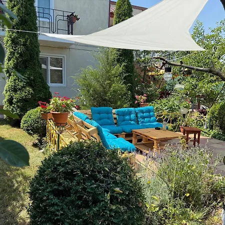 Negru Гостевой дом Костинешти