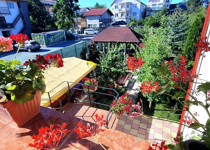 Гостевой дом Negru Костинешти