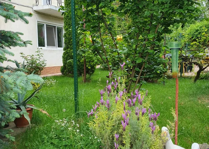 Negru Гостевой дом