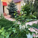 Negru Pensiune Costineşti