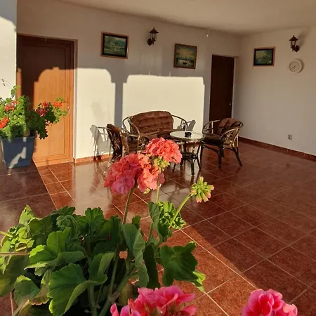 Casa de hóspedes Negru *