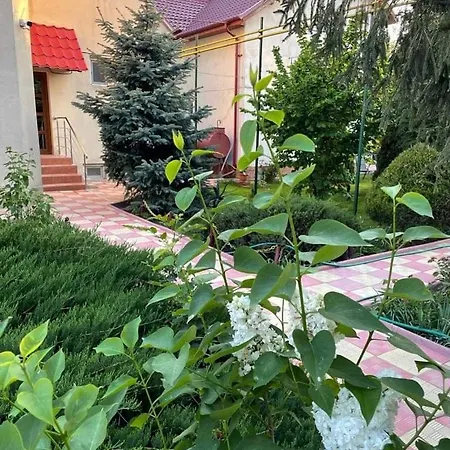 Negru Guest house Costinesti