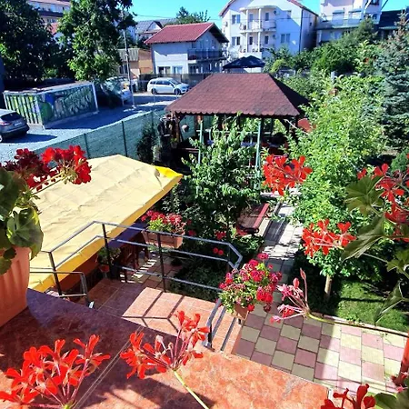 Guest house Negru Costinesti