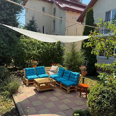 招待所 Negru 科斯蒂内什蒂