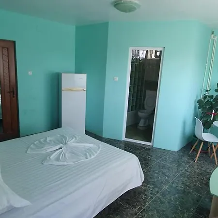 Casa de hóspedes Negru Costinesti