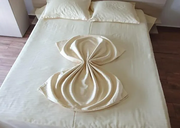 招待所 Negru 科斯蒂内什蒂