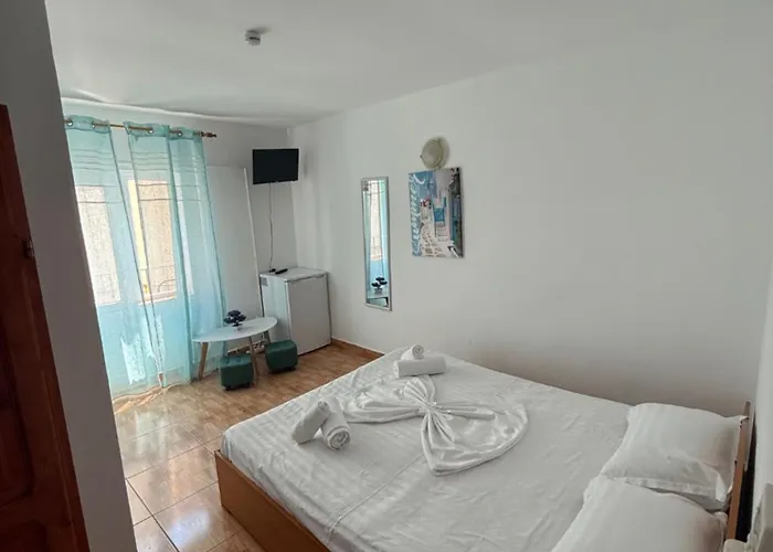 Negru 招待所 科斯蒂内什蒂