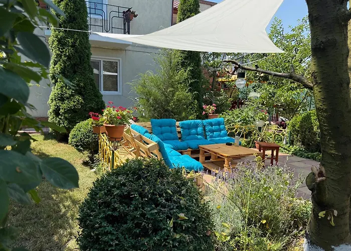 Negru 招待所 科斯蒂内什蒂